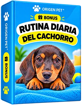 Rutina Diaria del Cachorro