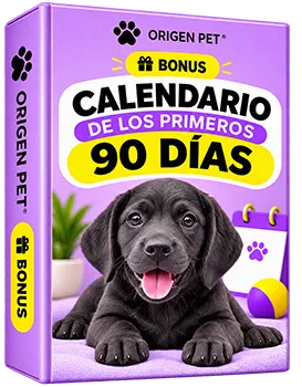 Calendario de los Primeros 90 Días