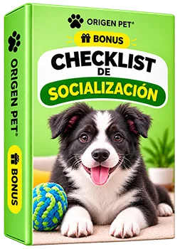 Checklist de Socialización